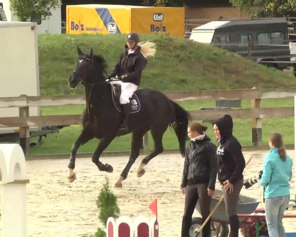 Springturnier Hubertushof RSG Linkenheim-Hochstetten 2013