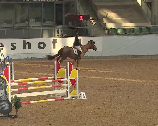 Reitturnier Kreuth 2025