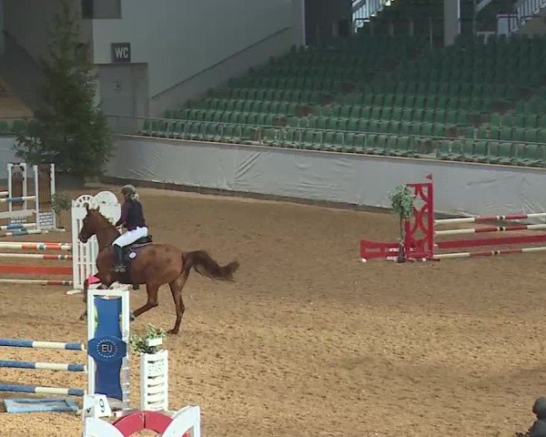 Reitturnier Kreuth 2025