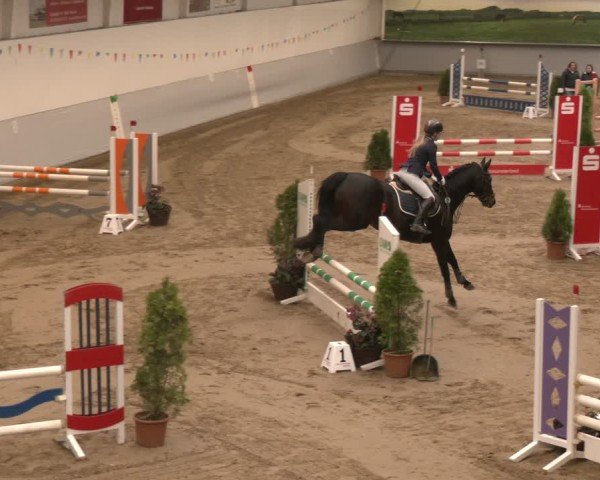 Reitturnier Legden 2025