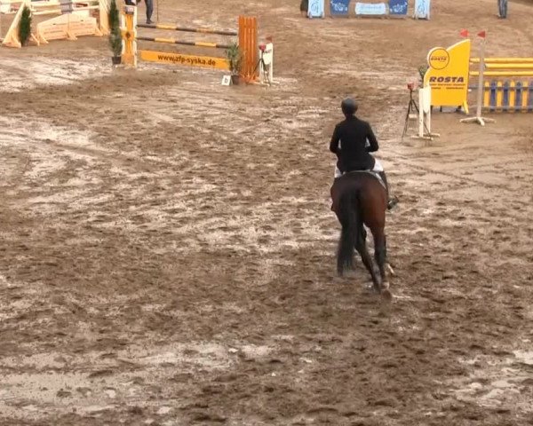 Großes Springturnier Siegener Reitverein 2013