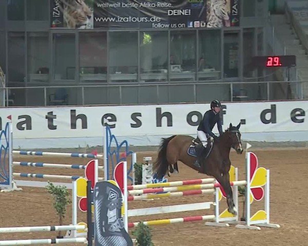 Reitturnier Kreuth 2025