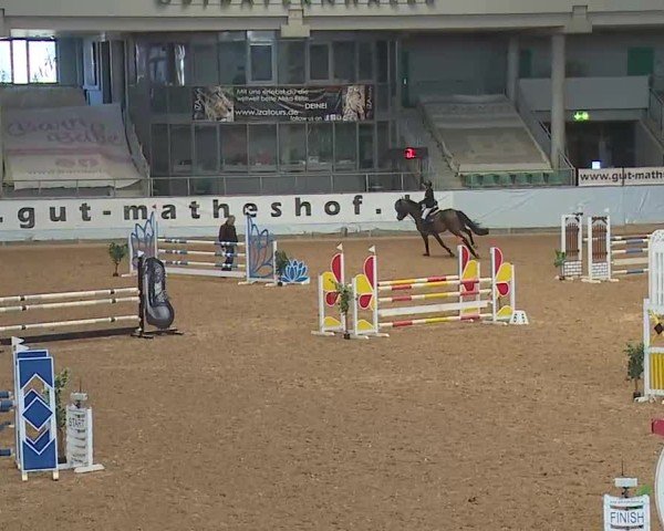 Reitturnier Kreuth 2025