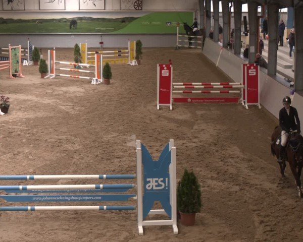 Reitturnier Legden 2025