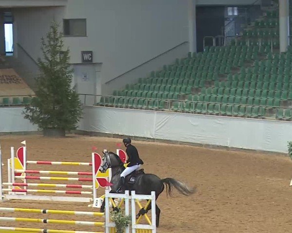 Reitturnier Kreuth 2025