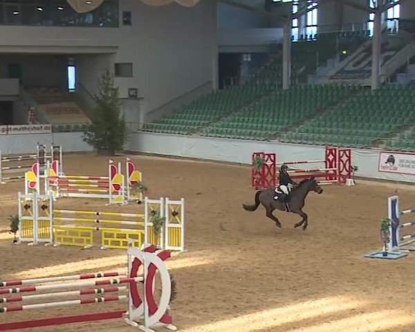 Reitturnier Kreuth 2025