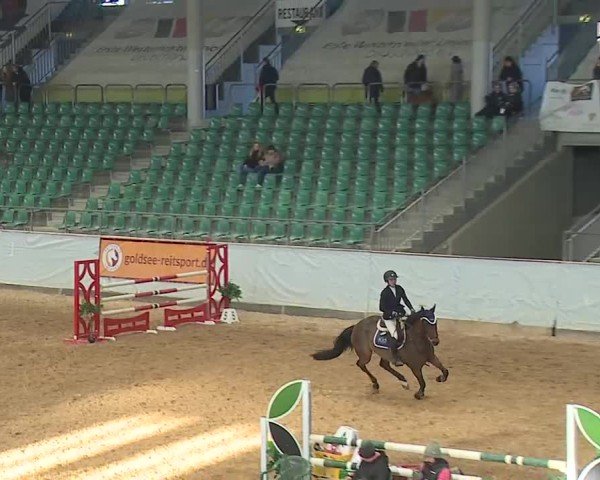 Reitturnier Kreuth 2025