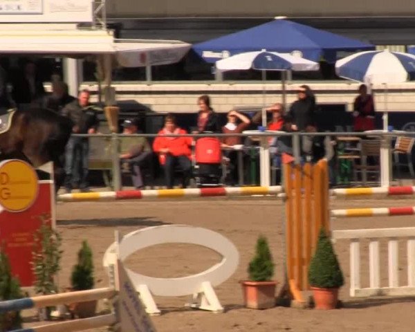 Großes Springturnier Siegener Reitverein 2013