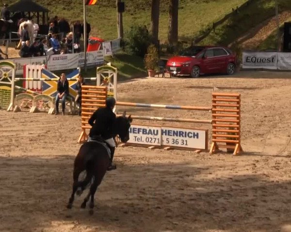 Großes Springturnier Siegener Reitverein 2013