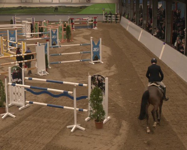 Reitturnier Legden 2025