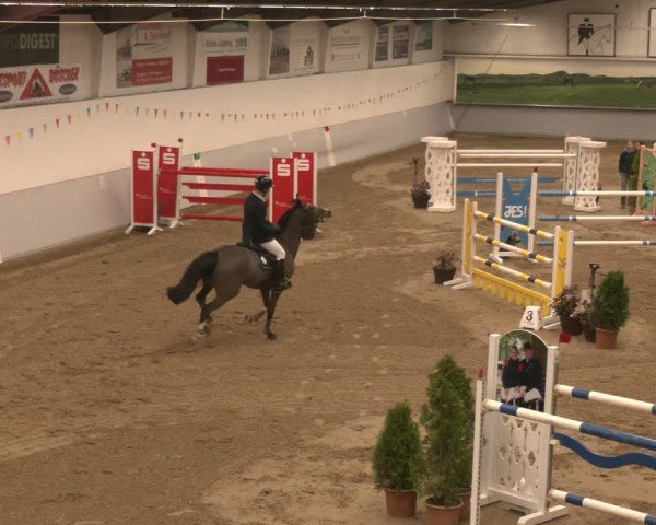 Reitturnier Legden 2025