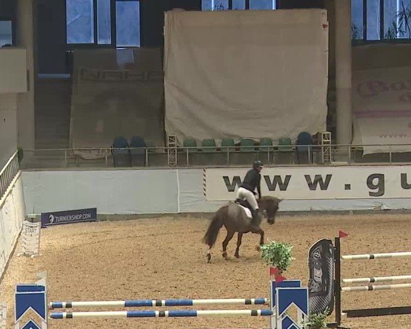Reitturnier Kreuth 2025