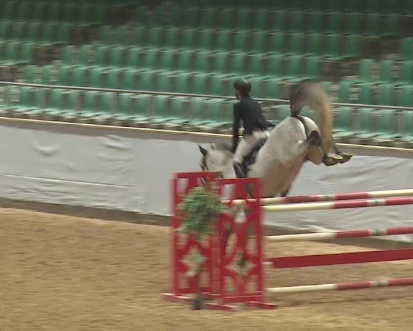 Reitturnier Kreuth 2025