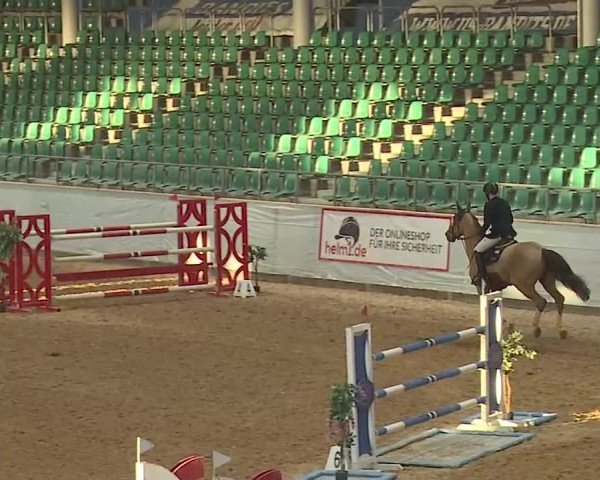 Reitturnier Kreuth 2025