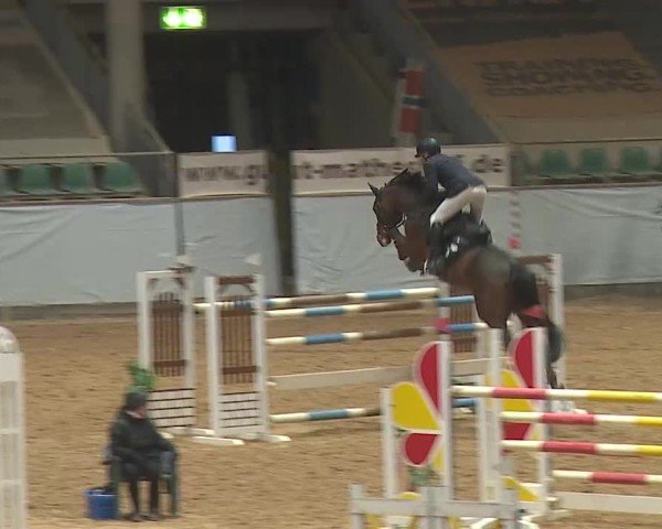 Reitturnier Kreuth 2025