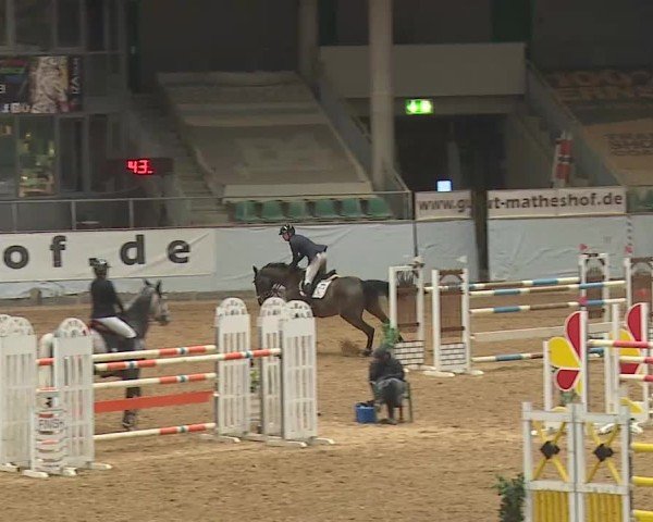 Reitturnier Kreuth 2025