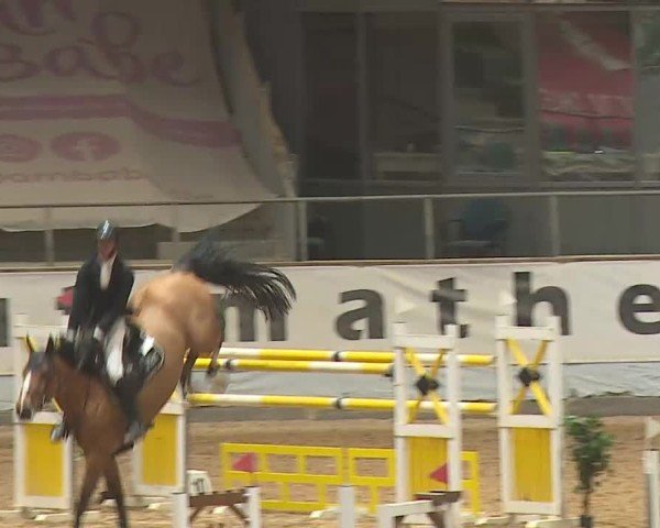 Reitturnier Kreuth 2025