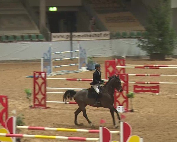 Reitturnier Kreuth 2025