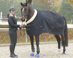 Pferd Don del Destino (Deutsches Sportpferd, 2019, von Desperado)