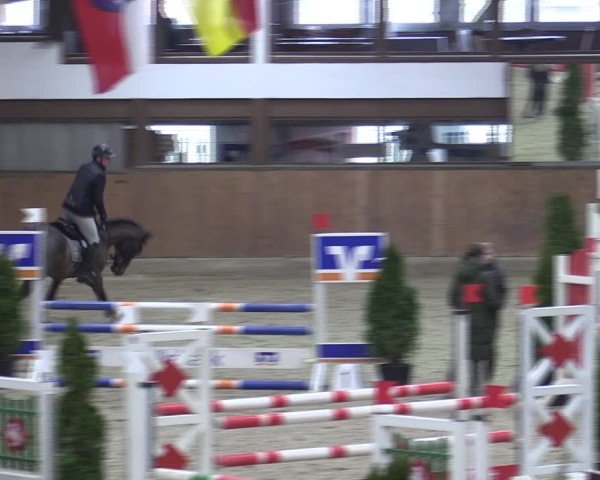 Reitturnier Oelde-Geisterholz 2025