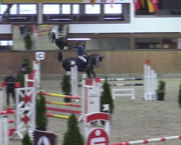 Reitturnier Oelde-Geisterholz 2025