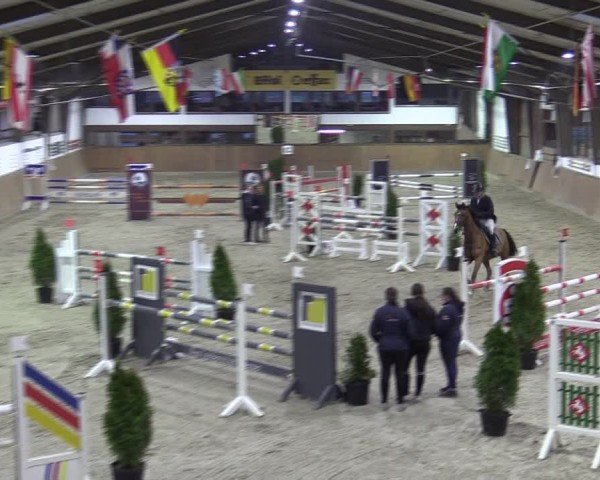 Reitturnier Oelde-Geisterholz 2025