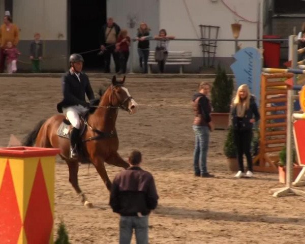 Großes Springturnier Siegener Reitverein 2013