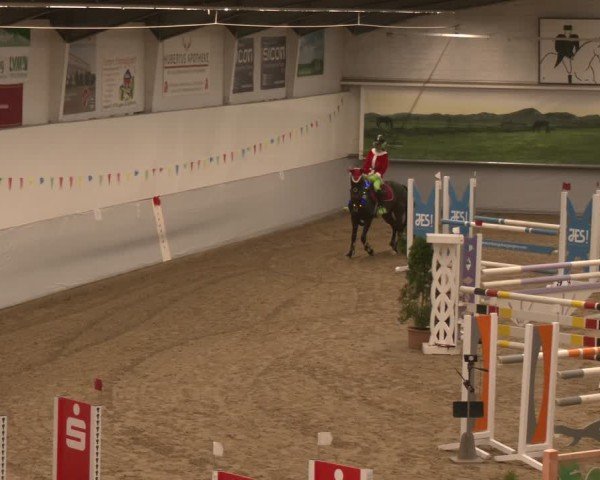 Reitturnier Legden 2025
