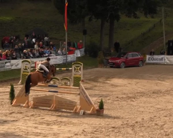 Großes Springturnier Siegener Reitverein 2013