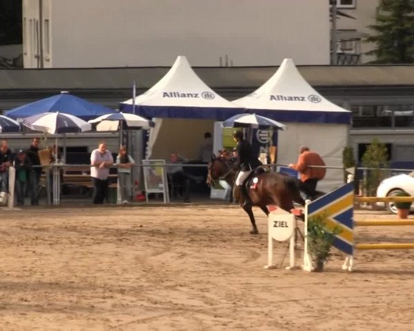 Großes Springturnier Siegener Reitverein 2013
