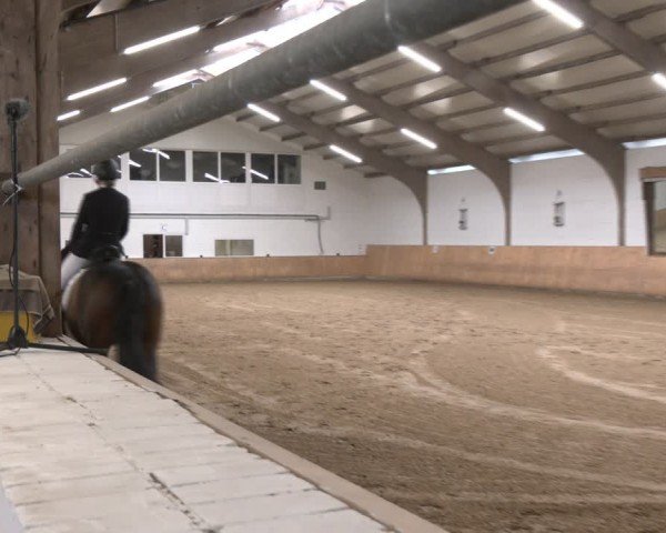 Reitturnier Olfen-Vinnum 2025