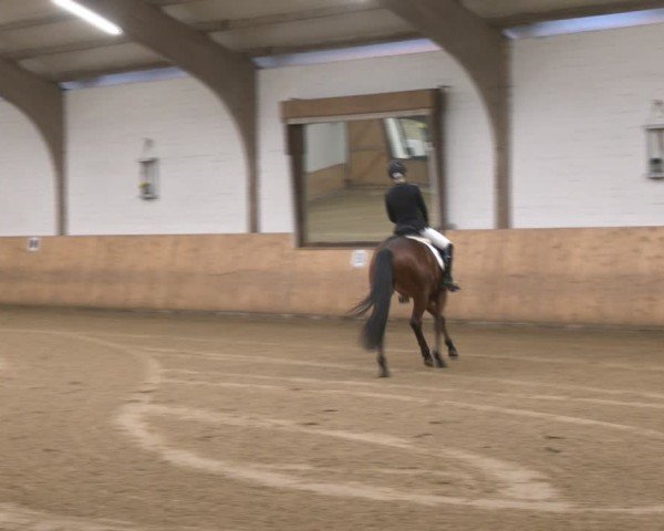 Reitturnier Olfen-Vinnum 2025