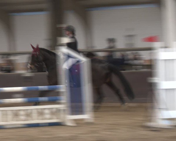 Reitturnier Olfen-Vinnum 2025
