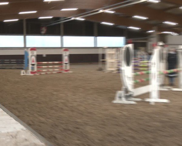 Reitturnier Olfen-Vinnum 2025