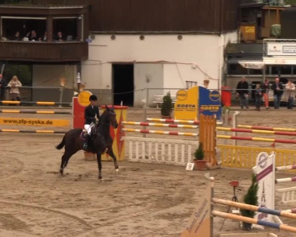 Großes Springturnier Siegener Reitverein 2013