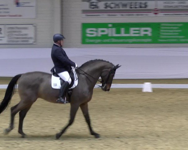 Reitturnier Borken 2025