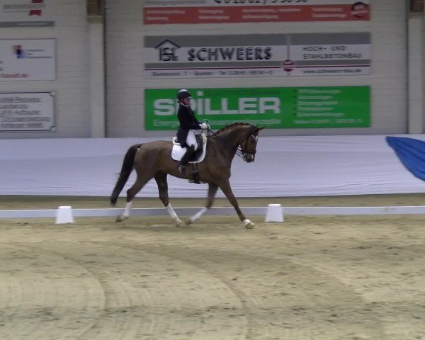 Reitturnier Borken 2025