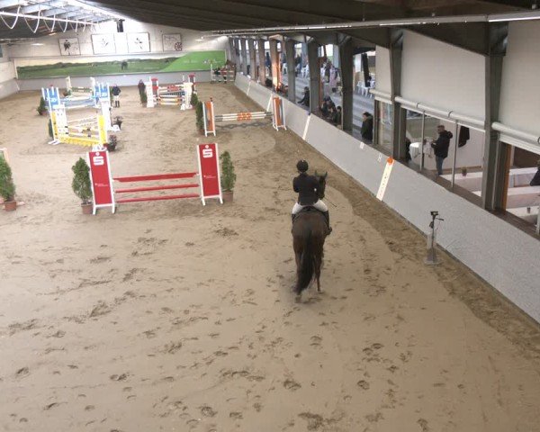 Reitturnier Legden 2025
