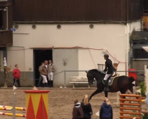 Großes Springturnier Siegener Reitverein 2013