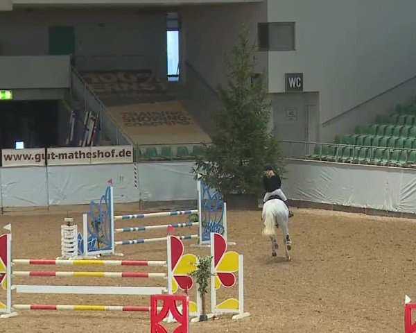 Reitturnier Kreuth 2025