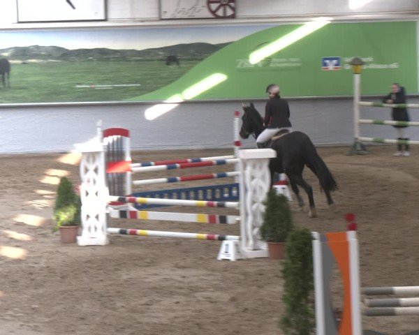 Reitturnier Legden 2025