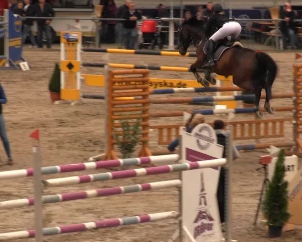 Großes Springturnier Siegener Reitverein 2013