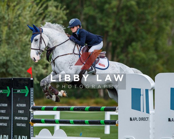 horse Cherokee (New Zealand Warmblood, 2011, from Quool du Bois Margot)