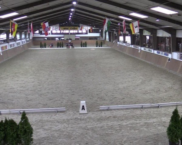 Reitturnier Oelde-Geisterholz 2025