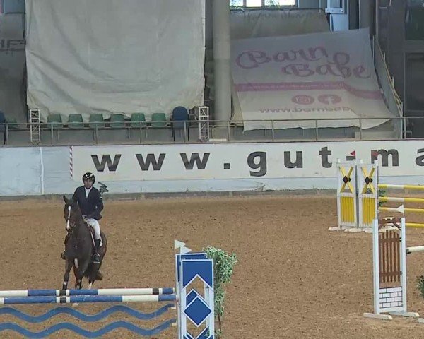 Reitturnier Kreuth 2025