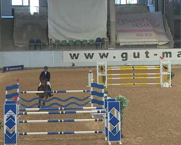 Reitturnier Kreuth 2025