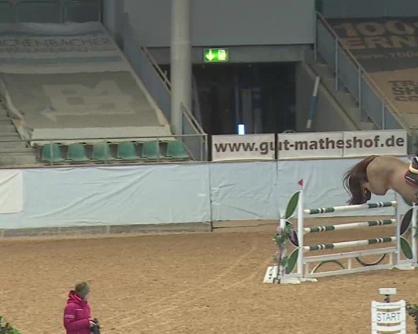 Reitturnier Kreuth 2025