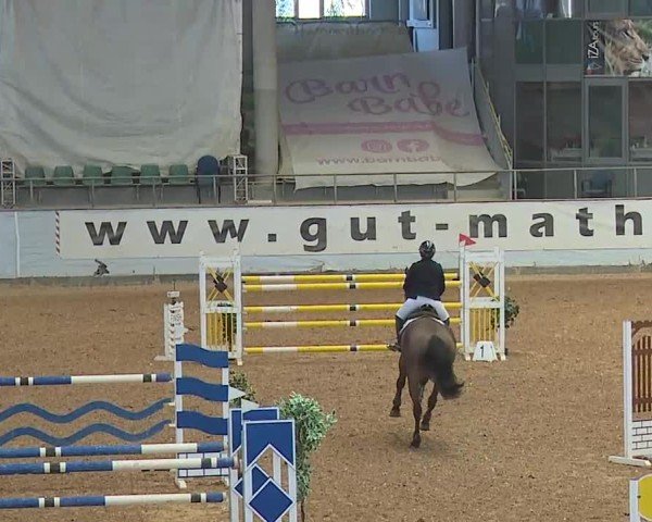 Reitturnier Kreuth 2025