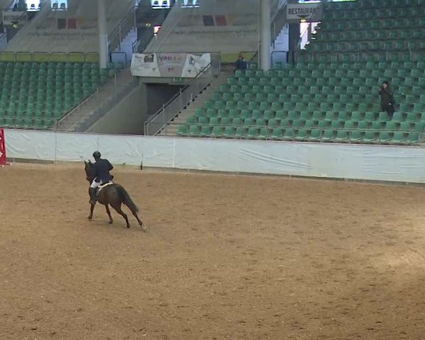 Reitturnier Kreuth 2025