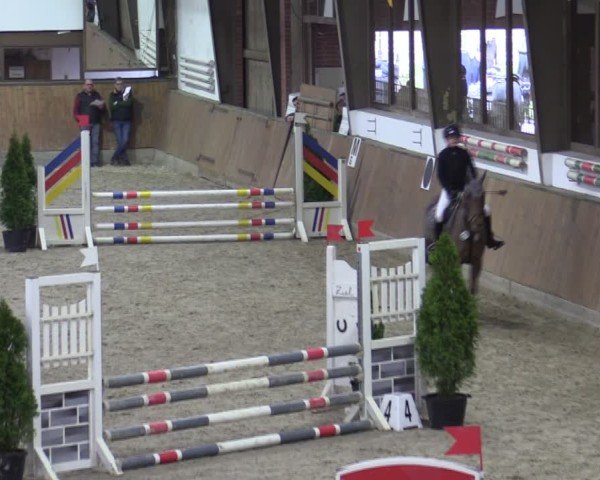 Reitturnier Oelde-Geisterholz 2025